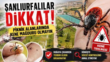 Şanlıurfa'da Piknik Sezonunu Açıldı! Kene Vakalarına Dikkat