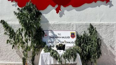 Hilvan'da Uyuşturucu Operasyonu: Kenevir ve Esrar Ele Geçirildi