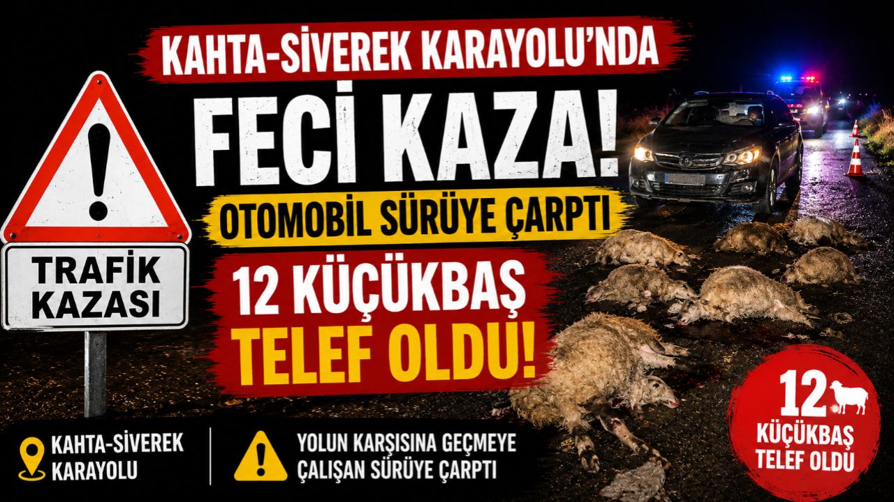 Kahta-Siverek Karayolu'nda Feci Kaza! 12 Küçükbaş Telef Oldu
