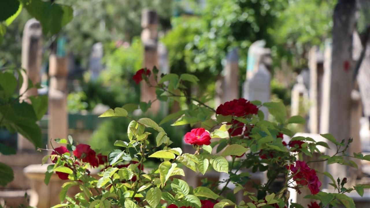 Urfa’da 3 Kişi Hayatını Kaybetti