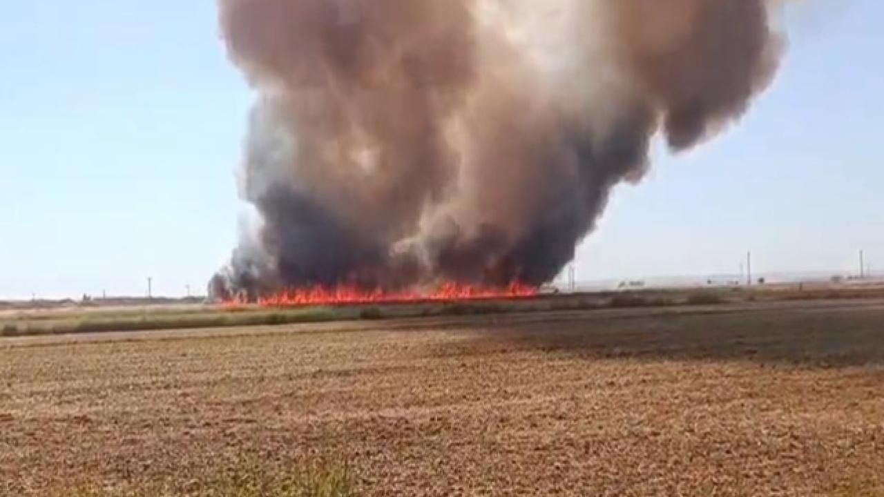 Urfa’da Ekili Arazide Yangın Çıktı!